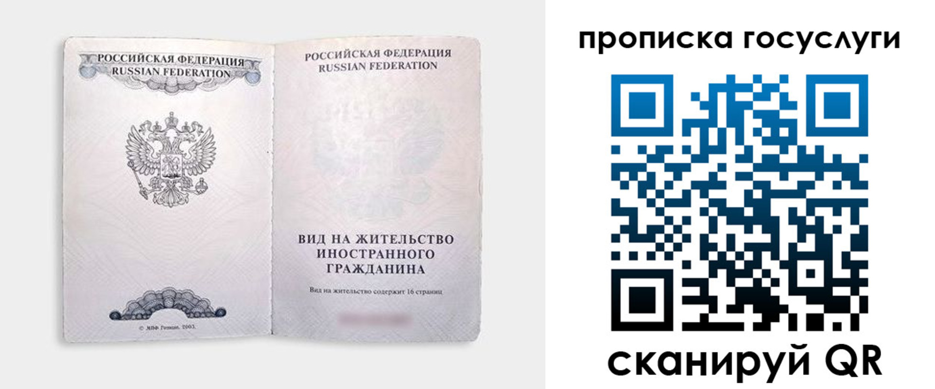 прописка поиск в Котово
